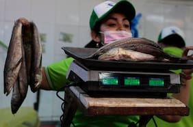 Semana Santa: pescados y mariscos hasta duplican su precio en ferias libres