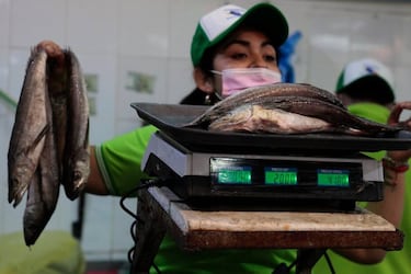 Semana Santa: pescados y mariscos hasta duplican su precio en ferias libres
