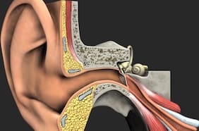 Científicos de Israel desarrollan nuevo tratamiento con genes para la sordera