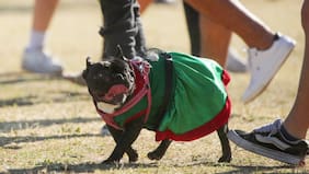 Hasta 8 horas continuas con 30 °C: el calor extremo que vivirá la Región Metropolitana esta Navidad