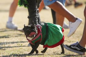 Hasta 8 horas continuas con 30 °C: el calor extremo que vivirá la Región Metropolitana esta Navidad