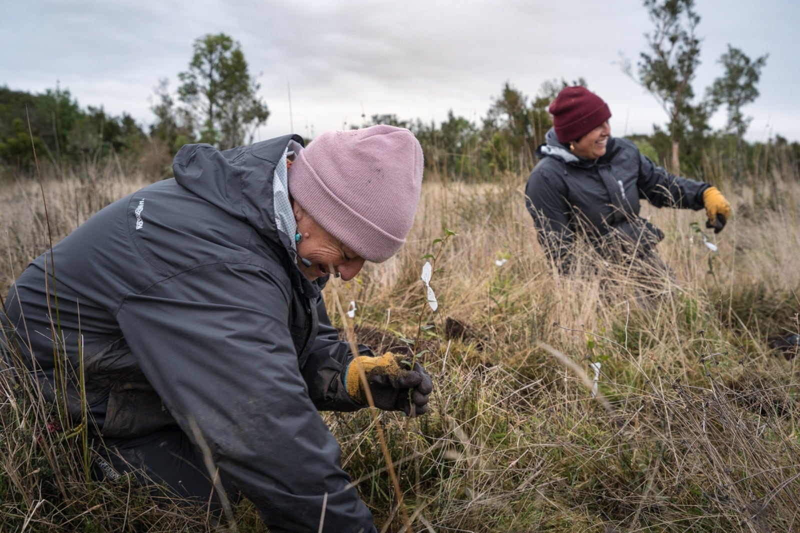 Festival Pala en Mano busca restaurar bosque nativo degradado en Puerto Varas