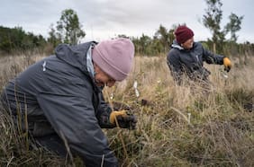 Festival Pala en Mano busca restaurar bosque nativo degradado en Puerto Varas