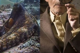 ¿Es el Pulpo mejor que el Topo? Las razones que inclinaron la balanza en Mejor Documental