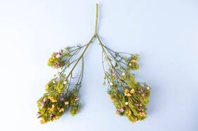 Cómo usar la respiración para combatir el estrés