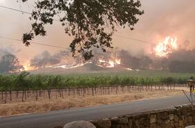 Incendios en California avanzan sobre región vitivinícola con una nueva víctima