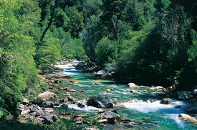 Segundo encuentro de áreas protegidas y comunidades portal busca aportar a la conservación efectiva del patrimonio natural y cultural