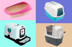 Cuáles son (y cómo elegir) las mejores cajas de arena para tu gato