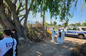 Hallan cuerpo descuartizado al interior de dos maletas en sector rural de Pudahuel