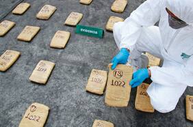 Informe ONU alerta sobre el tráfico de cocaína desde Chile