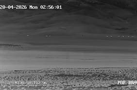 Gobierno reporta que despliegue de control fronterizo inhibió tránsito de contrabando de más de 30 camiones en Tarapacá