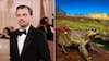 ¿Por qué a Leonardo DiCaprio le interesa salvar a las ranitas pehuenches de Chile?