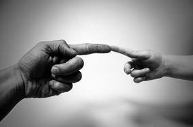 ¿Cómo se originaron las manos? Revolucionario estudio liderado por científico chileno señala que en realidad es una aleta modificada durante la evolución