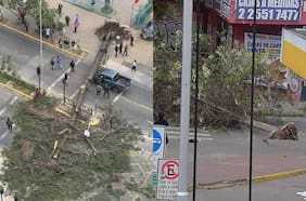 Caídas de árboles y cortes de energía: los primeros y graves efectos del sistema frontal en el país