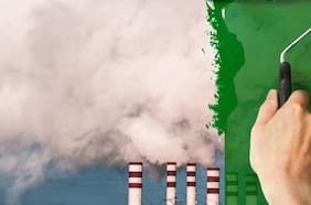 La columna de Tamara Agnic: “¿Es el greenwashing el nuevo soborno corporativo?”