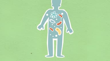Científicos encuentran un compuesto natural que ayuda a sanar el intestino