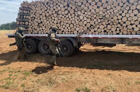 Carabineros detiene a 3 sujetos por robo de madera en Ercilla, Región de La Araucanía