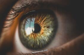 Todo lo que vemos es una mezcla de los últimos 15 segundos de información visual del cerebro