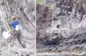 Guía turístico salvó a turistas que eran atacados por un oso gris