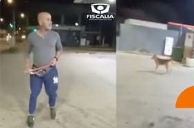 Fiscalía anuncia investigación de oficio por maltrato animal a hombre que atacó con honda a perro en Villa Alemana