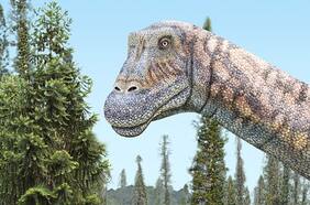 El colosal titanosaurio que acechó el norte de Chile