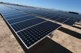 Paneles solares: los inesperados peligros que pueden provocar en el medioambiente