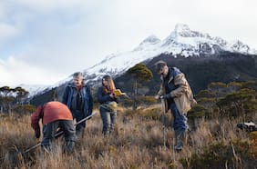 Está en peligro de extinción desde 1973: científicos y un inesperado hallazgo en costas de Magallanes