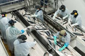 Landes denuncia expropiación en ley de fraccionamiento pesquero y recurre a la justicia antes de su aprobación