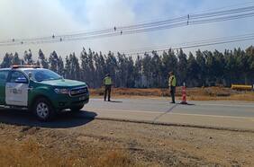 Incendio forestal en Los Álamos: Senapred solicita evacuar sector de la población Toco Toco