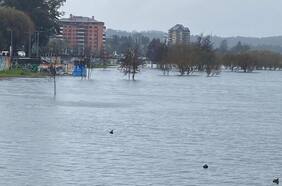 El otro drama de Villarrica: fotos muestran cómo su playa desapareció por completo