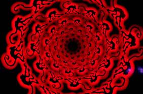 Definitivamente un montón de gente no vio 12 Monos