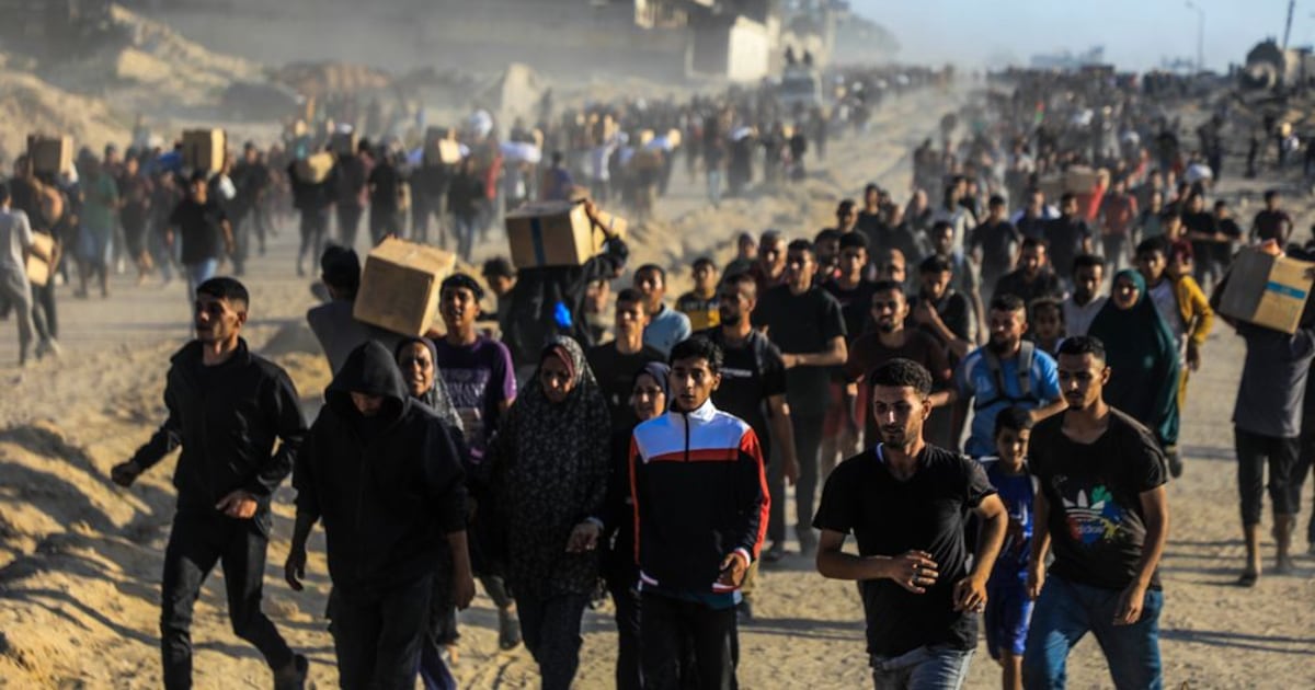 El conflicto en Gaza: desplazamiento forzado y crisis humanitaria en su segundo año