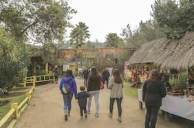Fiscalía abre investigación por maltrato animal en zoológico de Quilpué: ataque dejó 20 ciervos y 2 pavos reales muertos
