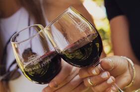 Se vienen las fiestas de la vendimia 2025 en Chile: ya hay más de 30 confirmadas