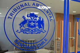 Rechazan reclamación contra la aprobación de proyecto de Celulosa Arauco en Constitución