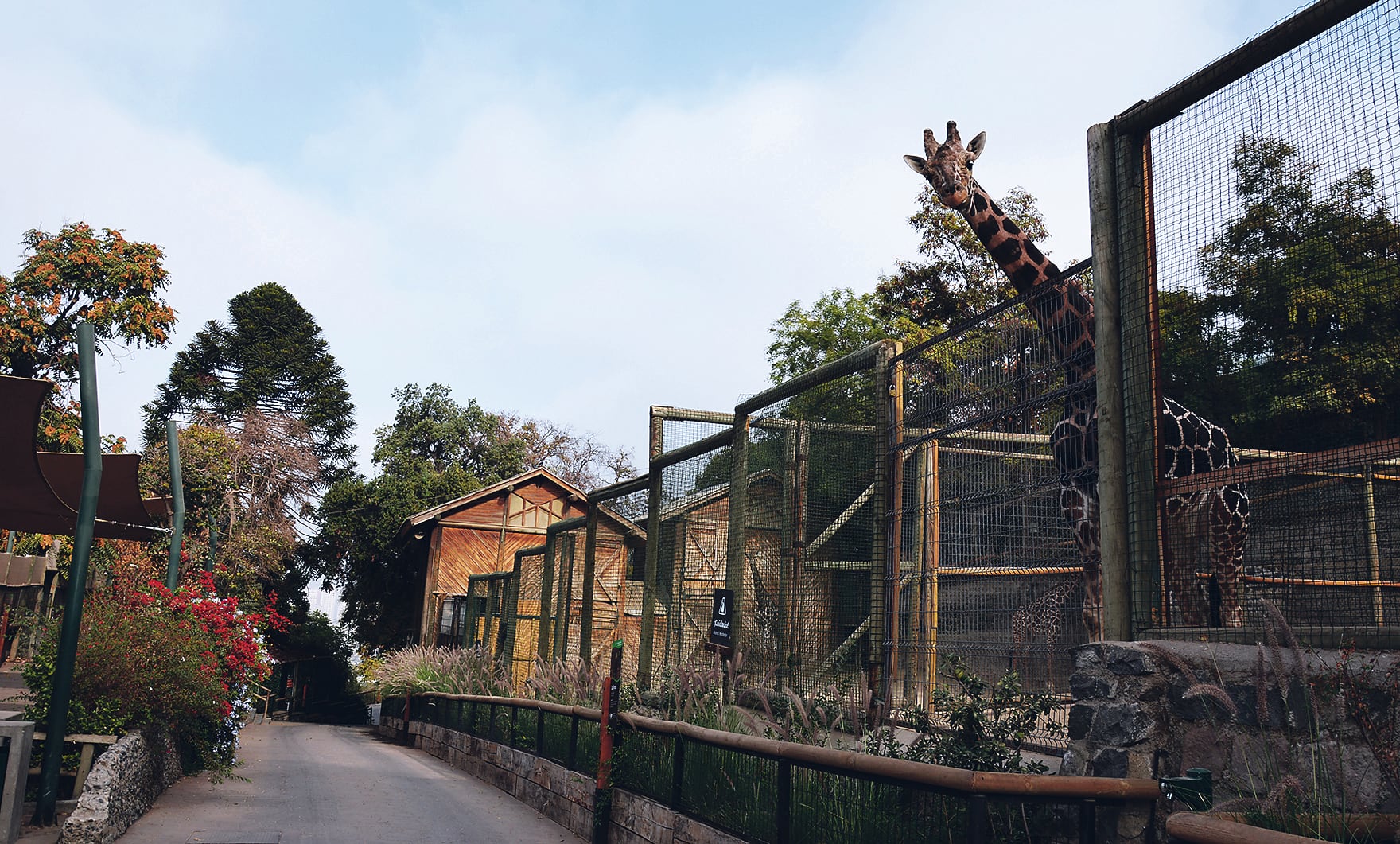 Nuevo aviso de bomba: Carabineros desaloja ahora el zoológico de Parque Metropolitano