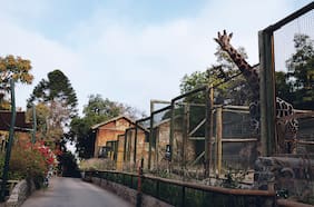 Nuevo aviso de bomba: Carabineros desaloja ahora el zoológico del Parque Metropolitano