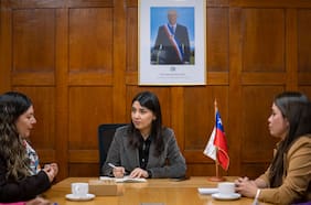 A cinco años de la Ley Dominga: Marín reconoce desafíos en materia de información y compromete “impulsar y socializar” la iniciativa