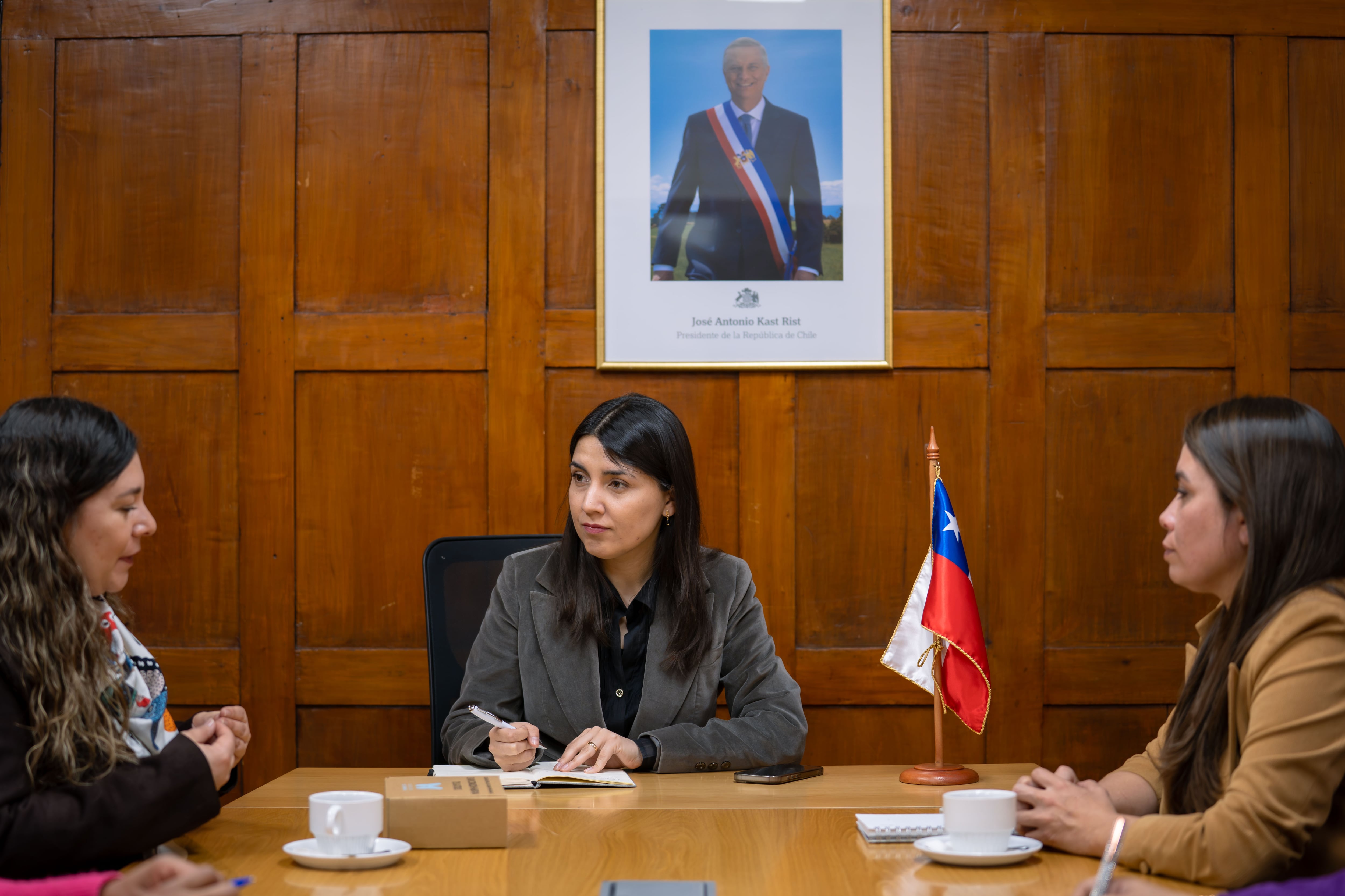 A cinco años de la Ley Dominga: Marín reconoce desafíos en materia de información y compromete “impulsar y socializar” la iniciativa