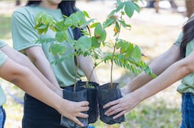 Datos para la educación ambiental