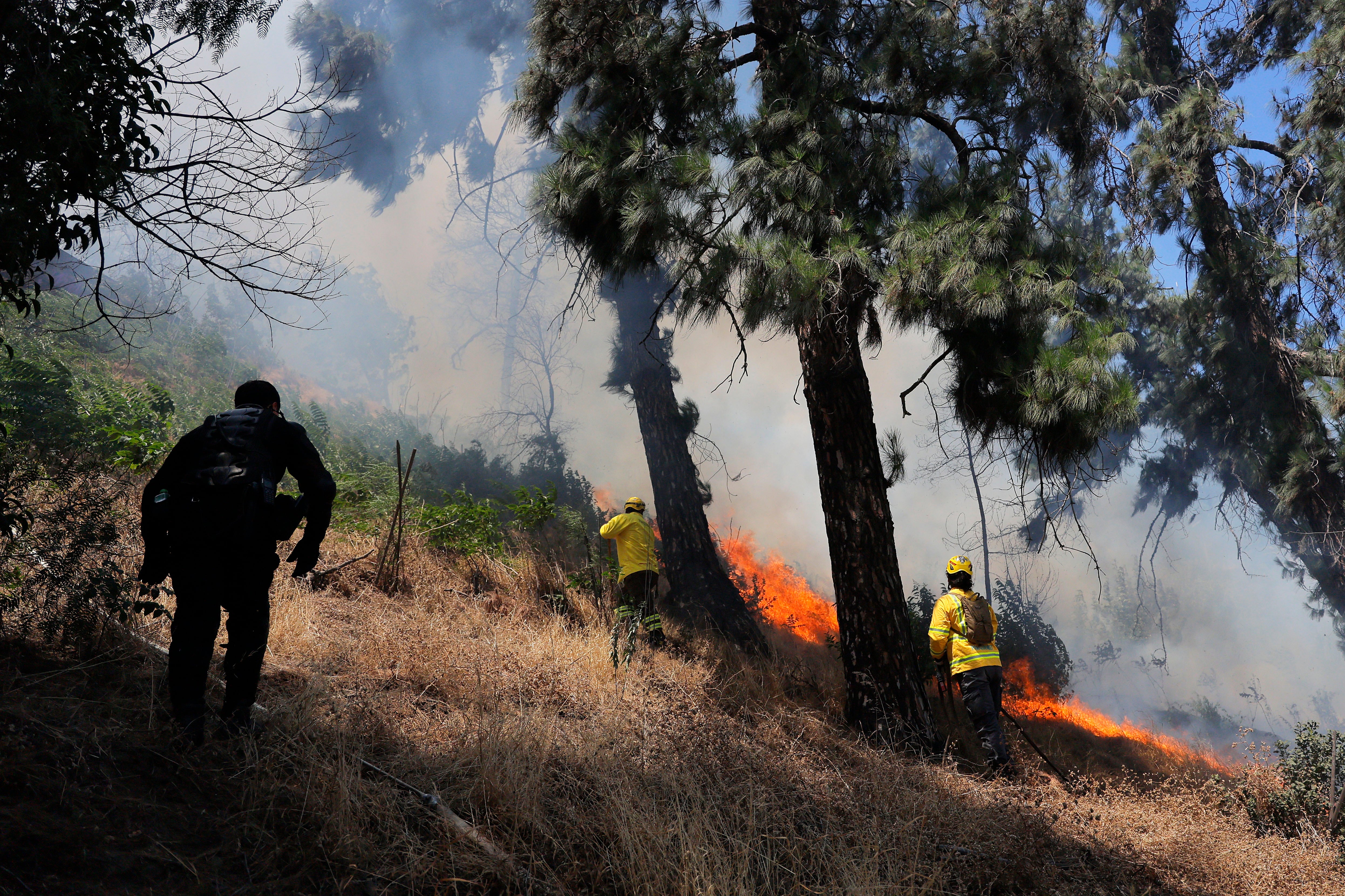 Incendio Forestal Obliga a Evacuar Población en Chile