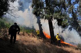 Senapred declara alerta roja en la comuna de Rancagua por incendio forestal cercano a sectores poblados