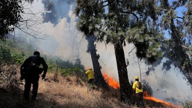 Al menos 250 héctareas han sido afectadas por incendios en Limache y Concón