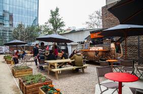 Oasis primaverales en la ciudad