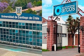 El activo rol del gobierno en la compra del Instituto Arcos por parte de la Usach