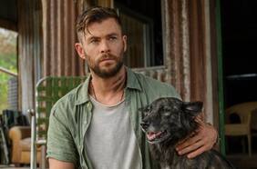 Los hermanos Russo quieren hacer un universo de películas de Extraction