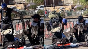 Denuncian venta de supuesta piel de gato en las calles de Santiago