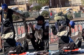 Denuncian venta de supuesta piel de gato en las calles de Santiago