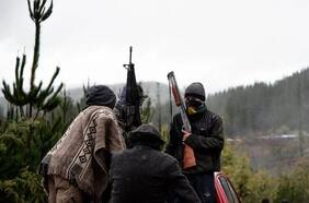 Coordinadora Arauco Malleco anuncia la toma de siete fundos pertenecientes a empresas forestales en Angol