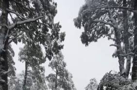 Continúa la búsqueda de excursionista extraviado en el Parque Nacional Villarrica